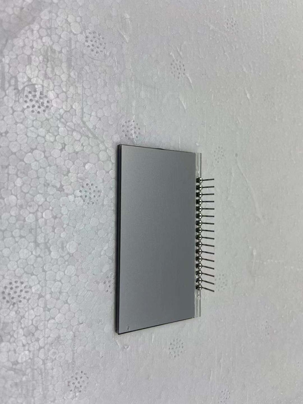 Tn 7 Segment LCD Display 12 O Đồng hồ dương tính Monochrome Transmissive Lcd Module