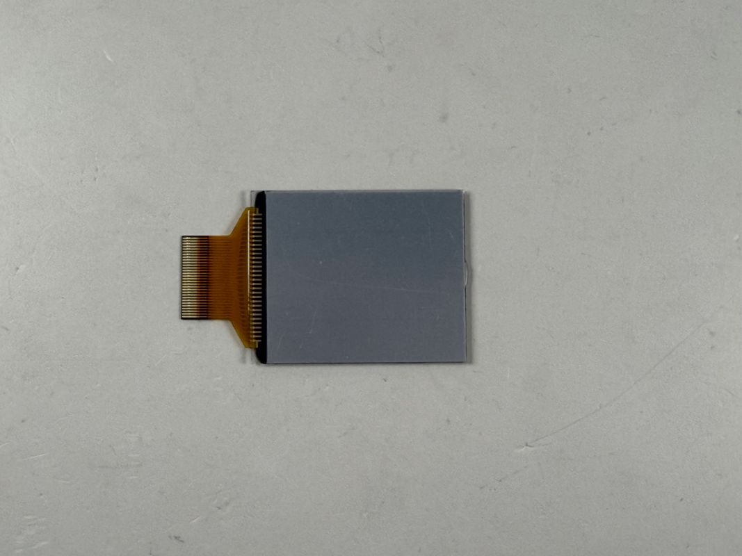 Màn hình LCD đen và trắng tùy chỉnh | LCD phân đoạn đơn sắc cho các ứng dụng công nghiệp và điện tử