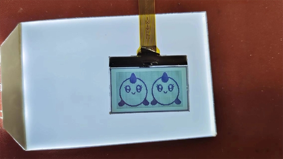 Chân hình LCD FSTN có chữ số dương tính chất lượng cao, màn hình truyền thông tùy chỉnh